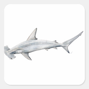 Adesivo Quadrado Martillo de Tiburon - tubarão da cabeça de marte