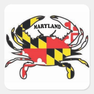 ADESIVO QUADRADO MARYLAND