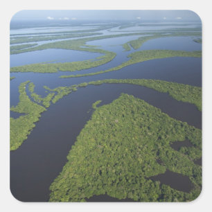 Adesivo Quadrado Material do Arquipélago de Anavilhanas, Inundado