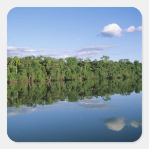 Adesivo Quadrado Mato Grosso, Amazônia, Brasil. Forjado