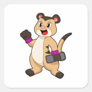 Adesivo Quadrado Meerkat com Dumbbell
