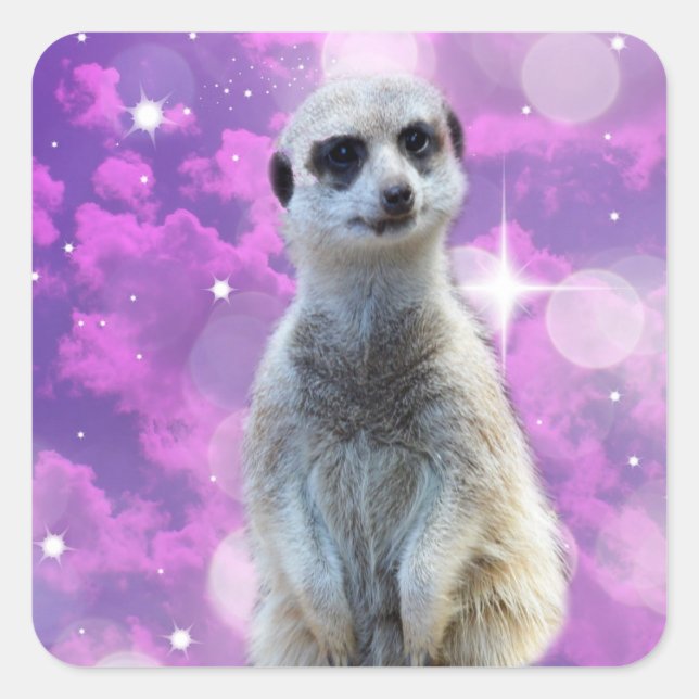 Adesivo Quadrado Meerkat Com Sparkle, (Frente)