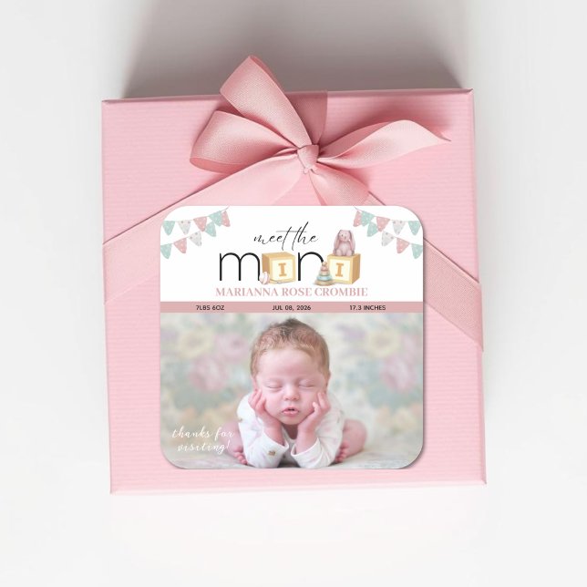 Adesivo Quadrado Meet The Mini Pink Baby Stickers (Criador carregado)