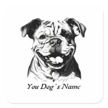 Melhor Silohuette B&W do Bulldog Inglês