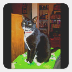 Adesivo Quadrado Menina bonito Lucy