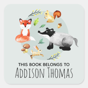 Adesivo Quadrado Meninos Animais Este Livro Pertence A Crianças Re