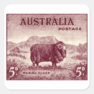 Adesivo Quadrado Merino Sheep australiano de 1934