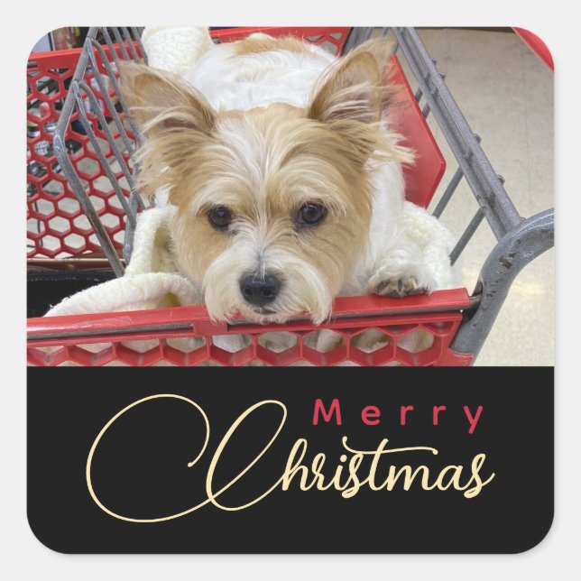 Adesivo Quadrado Merry Christmas Puppy Photo Shopping Cart  (Frente)