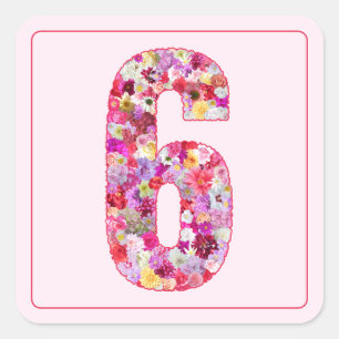 Adesivo Quadrado Mês Número 6 Floral Rosa Suave