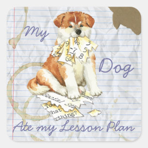 Adesivo Quadrado Meu Akita comeu meu plano de aula