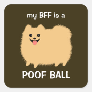Adesivo Quadrado Meu BFF é uma bola do Poof - cão macio de