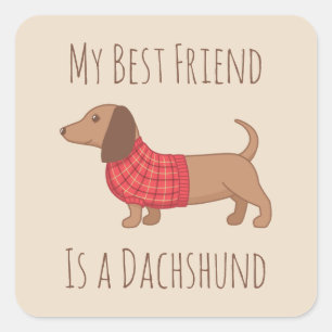 Adesivo Quadrado Meu cão do Wiener do Dachshund do melhor amigo no
