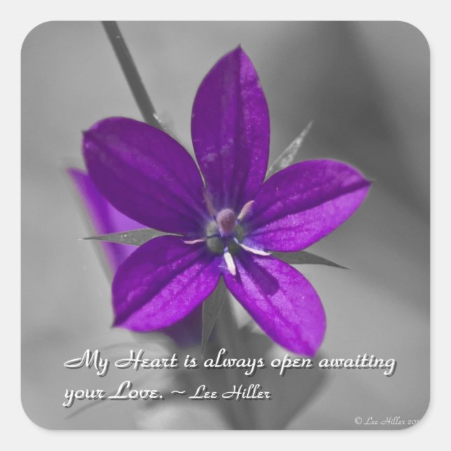 Adesivo Quadrado Meu coração está sempre aberto... (Frente)