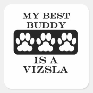 Adesivo Quadrado Meu Melhor Amigo é um Vizsla