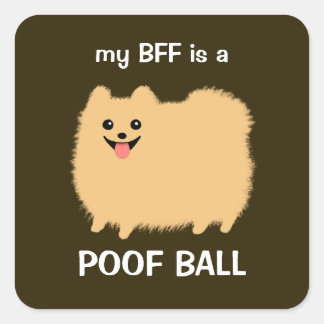 Adesivo Quadrado Meu melhor amigo é uma bola de merda - Fluffy Pome