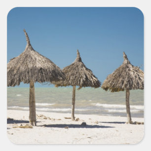 Adesivo Quadrado México, Península de Yucatan, Progreso. Isso