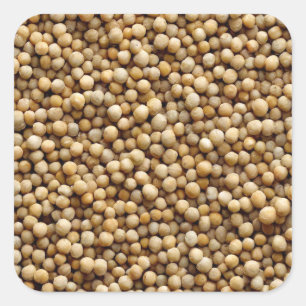 Adesivo Quadrado Milho