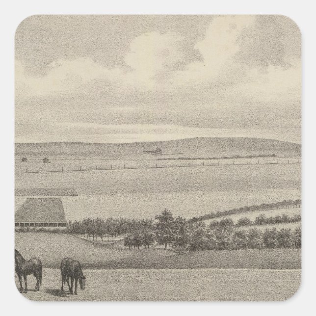 Adesivo Quadrado Mill Brae Ranch, Kansas (Frente)