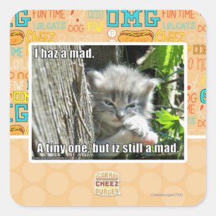 Adesivo Quadrado Mim haz um louco