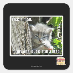 Adesivo Quadrado Mim haz um louco