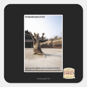 Adesivo Quadrado Mim patas do shaolin do iz da fúria