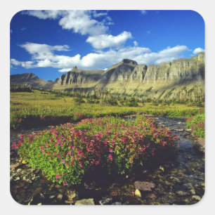 Adesivo Quadrado Mimulus de Logan Pass no Parque Nacional Glacier