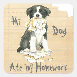 Adesivo Quadrado Minha Fronteira Collie Comeu Meu Trabalho De Casa