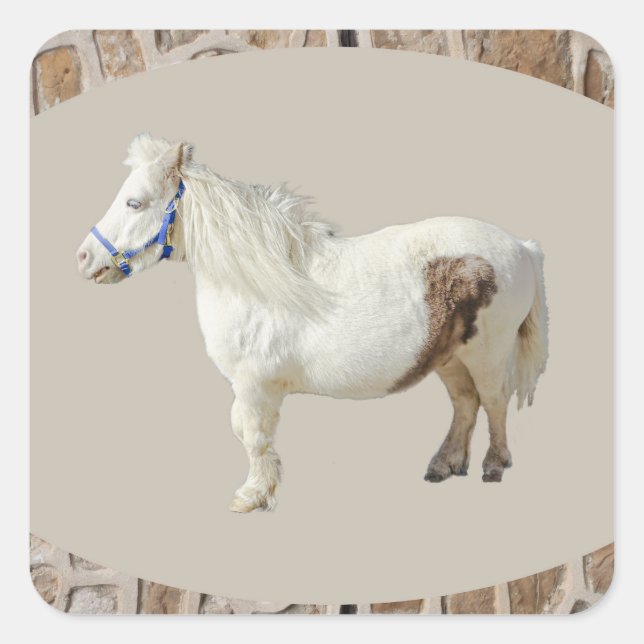 Adesivo Quadrado Miniatura pony mini WHITE HORSE pequeno (Frente)