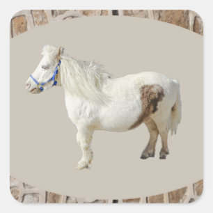 Adesivo Quadrado Miniatura pony mini WHITE HORSE pequeno
