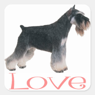 Adesivo Quadrado Miniatura Schnauzer Puppy Dog Pink Love Sticker