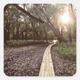 Adesivo Quadrado MinMinnesota