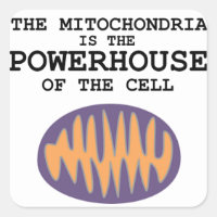 Mitocôndria é o Powerhouse - Sticker