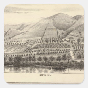 Adesivo Quadrado Mizzen Top Rancho