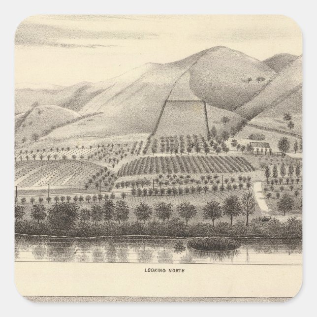 Adesivo Quadrado Mizzen Top Rancho (Frente)