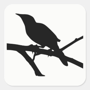 Adesivo Quadrado Mockingbird Silhouette