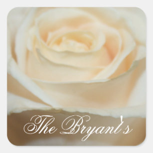 Adesivo Quadrado Modelo da Creamy White Rose Stickers