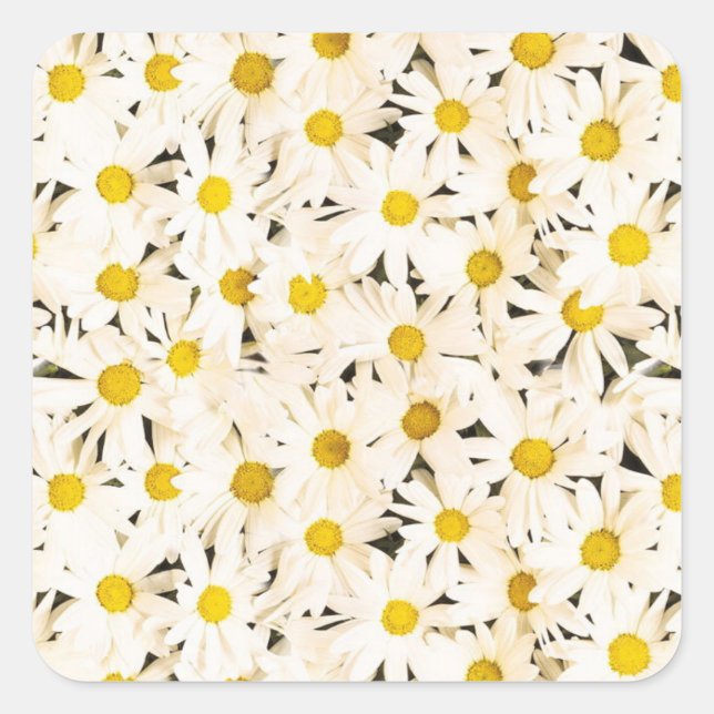 Adesivo Quadrado Modelo de Elegante de Tendy Elegante da Tendy Whit (Frente)