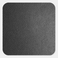 Modelo vazio Preto Crie