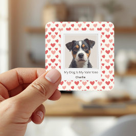 Adesivo Quadrado Modern Personalized Dog Valentine Stickers