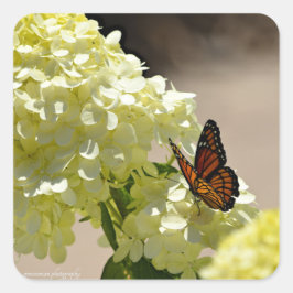 Adesivo Quadrado Monarca e Flores