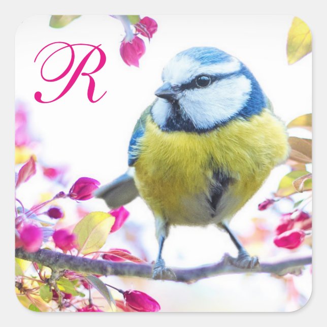 Adesivo Quadrado Monograma de Blossomas de Pássaros e Rosa (Frente)