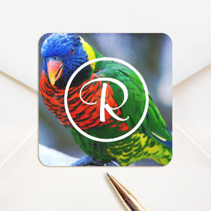 Adesivo Quadrado Monograma de pássaro lorikeet vermelho verde azul
