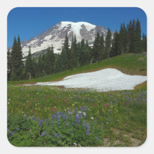 Adesivo Quadrado Monte Rainier, Flores Silvestres e Neve