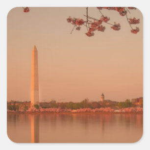 Adesivo Quadrado Monumento de Washington Sakura no por do sol