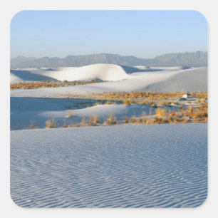 Adesivo Quadrado Monumento Nacional White Sands, Dunas Transversais