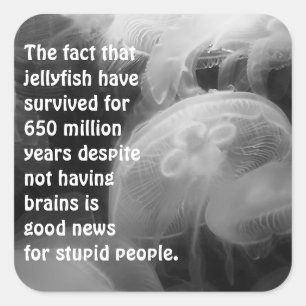 Adesivo Quadrado Moon Jellyfish Sticker