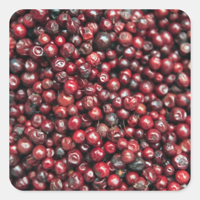 Adesivo Quadrado Morangos vermelhos do Himalaia (Frente)