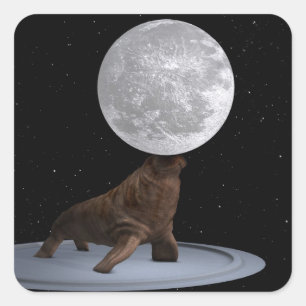 Adesivo Quadrado Morsa Equilibrando a Lua