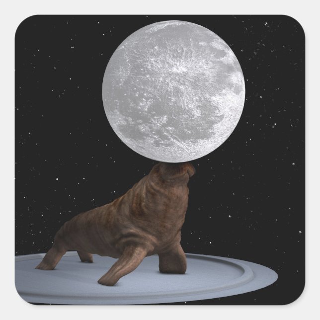 Adesivo Quadrado Morsa Equilibrando a Lua (Frente)