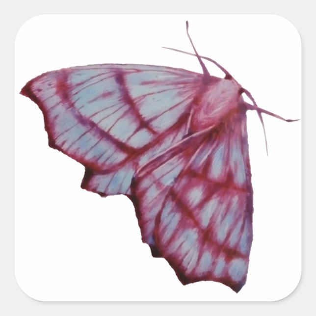 Adesivo Quadrado Mot, moth (Frente)